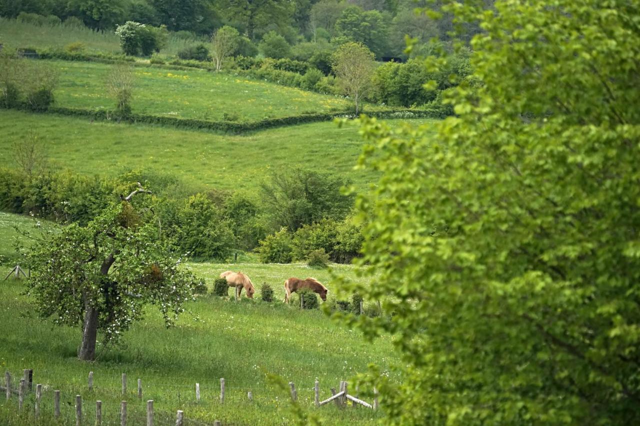 Gite Du Jardin Theux Exteriér fotografie