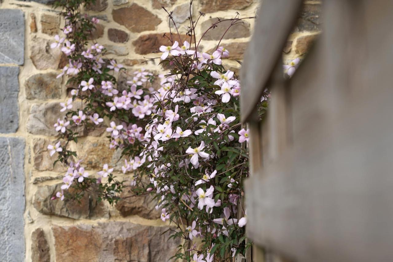Gite Du Jardin Theux Exteriér fotografie