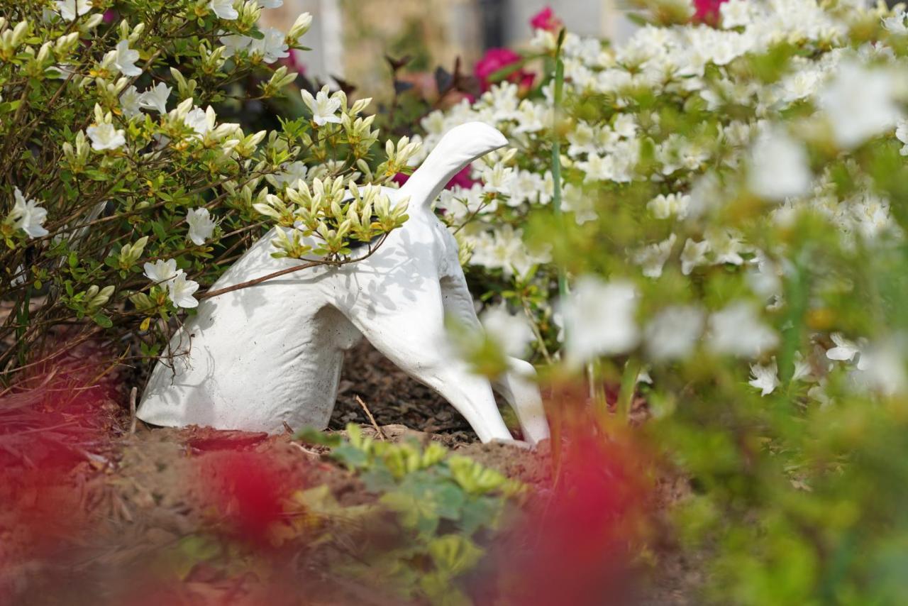 Gite Du Jardin Theux Exteriér fotografie
