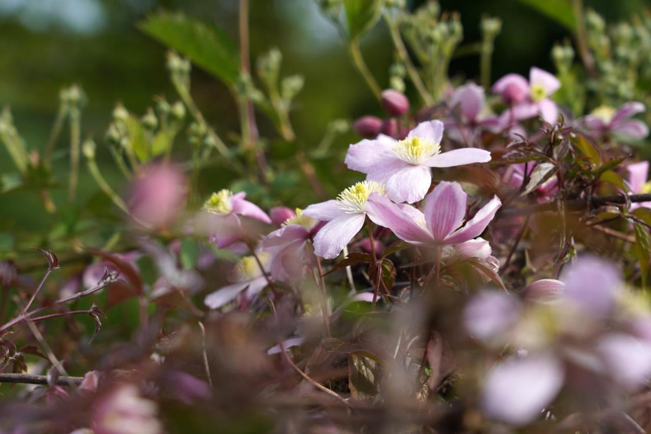 Gite Du Jardin Theux Exteriér fotografie